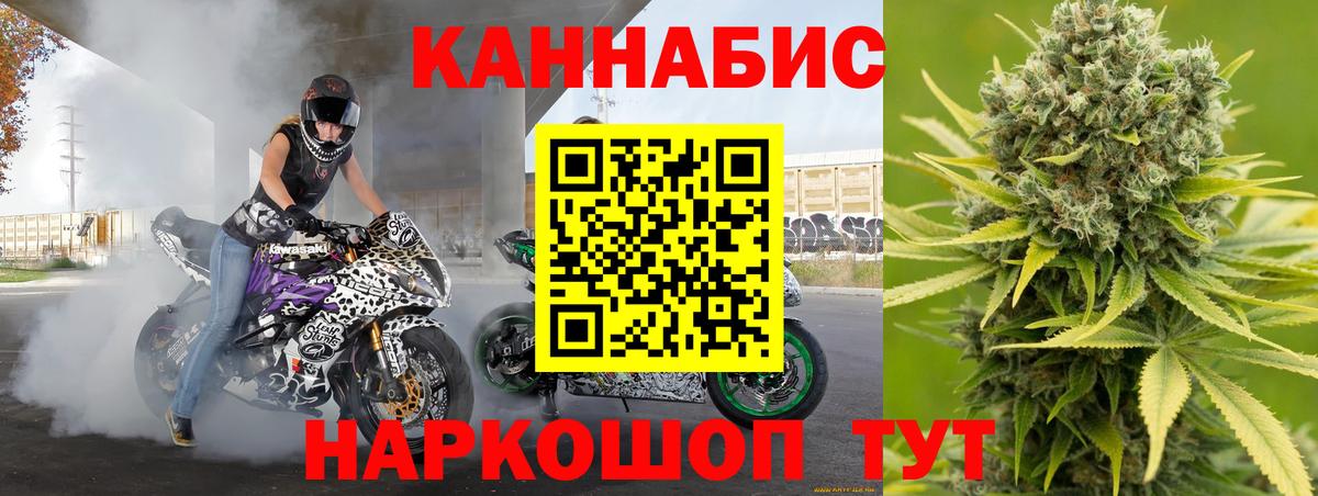 Каннабис OG Kush Верхняя Салда